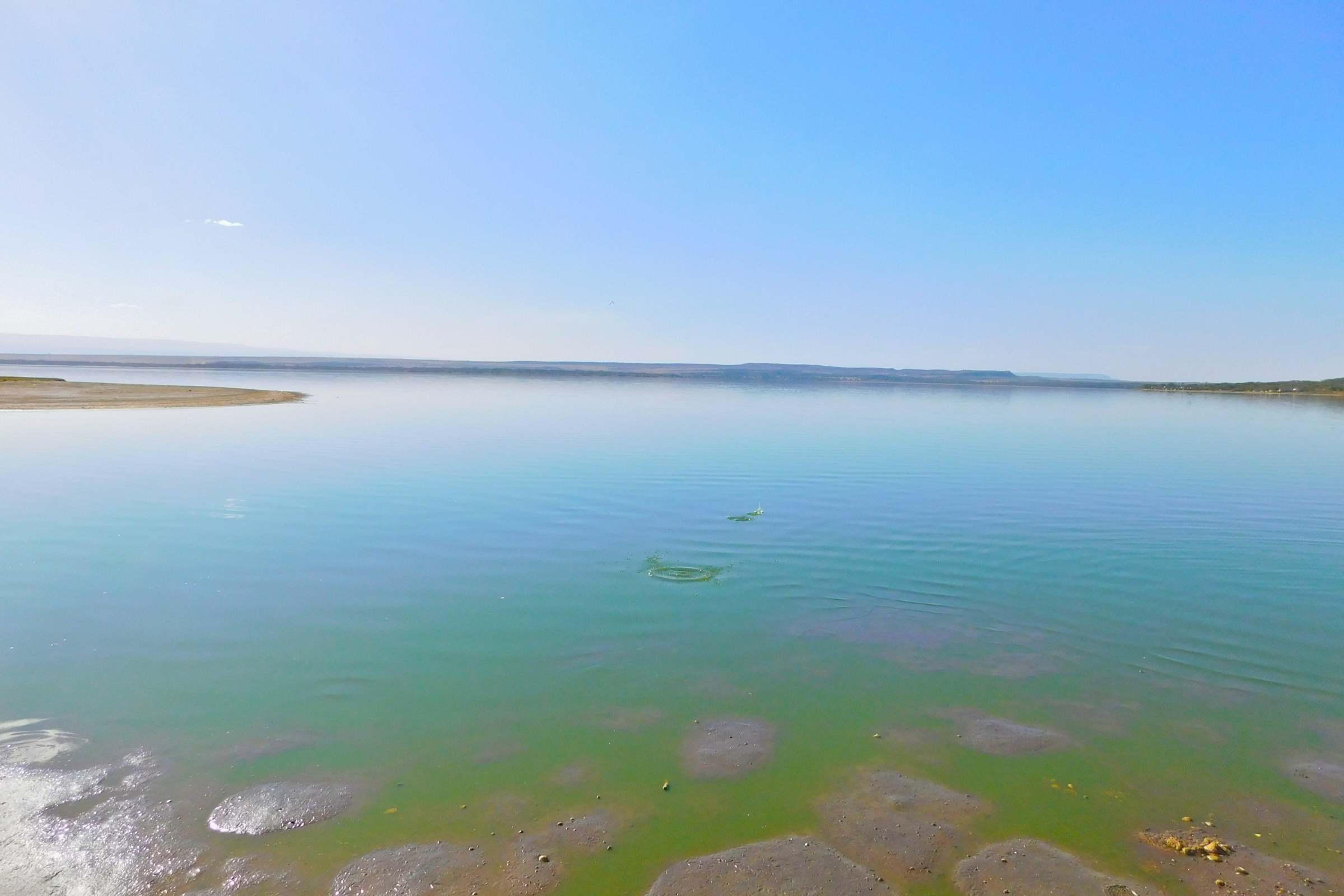 lake elementaita (4).webp